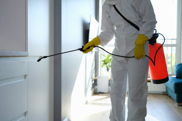 Best Certified Mold Removal  in North River Shores, FL